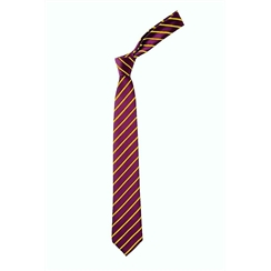Purple with Gold 45" Length Junior Stripe Tie