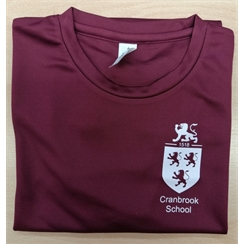 Cranbrook School School Lodge House PE T-Shirt