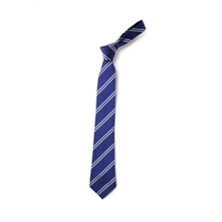 Benenden Primary Tie