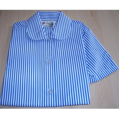 Blue & White Stripe Short Sleeved Blouse