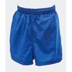 Royal Blue Swim Short