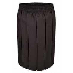 Brown Junior Box Pleat Skirt