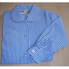 Blue & White Stripe Long Sleeved Blouse